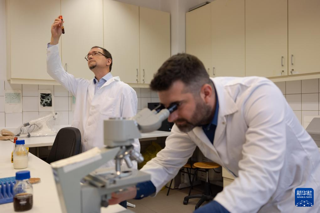 On May 27th, in Budapest, Hungary, researchers Heiji Ferenc (former) and Zoran Jolte from the Hungarian University of Agriculture and Life Sciences were working in the laboratory. Xinhua News Agency (Photo by Fergie Otilo)