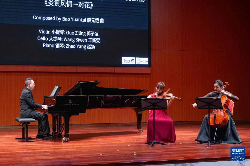 On February 6th, at the Setya University Concert Hall in Kuala Lumpur, Malaysia, Chinese artists performed 