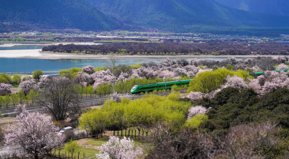   2025年4月2日，復興號列車穿行在拉林鐵路林芝段。 新華社記者晋美多吉攝