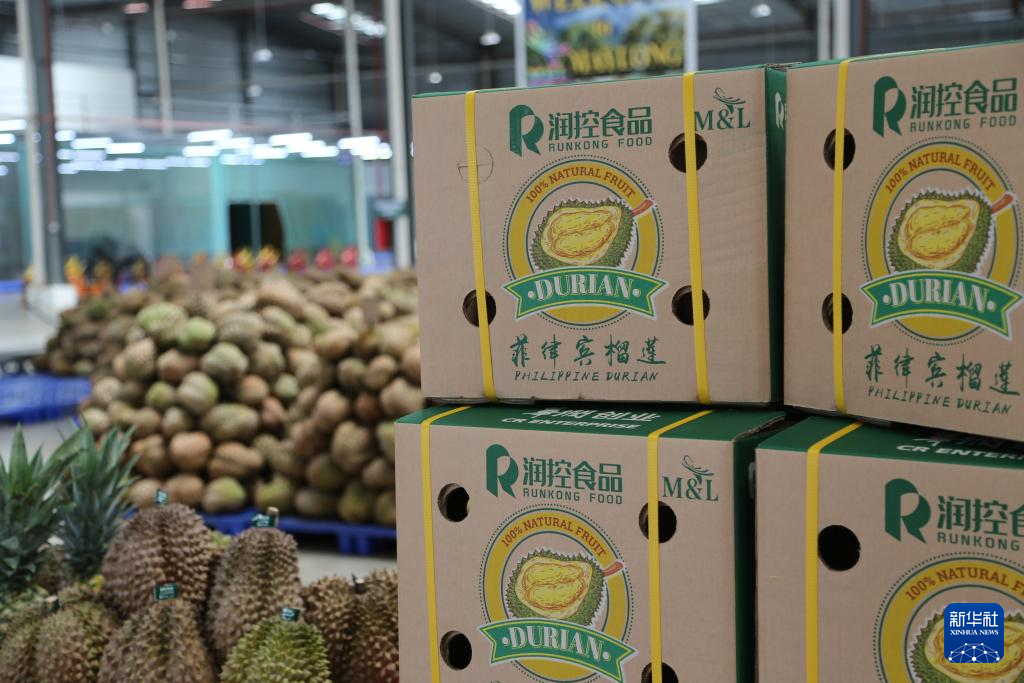 This is a durian taken on October 30th in Davao City, Philippines, which is about to be shipped to China. Photo by Nie Xiaoyang, Xinhua News Agency reporter