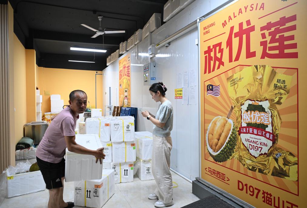 On October 17th, at the operation center of a fruit distributor in Baiyun District, Guangzhou, staff sorted out freshly arrived durian fruits. Photo by Deng Hua, Xinhua News Agency reporter