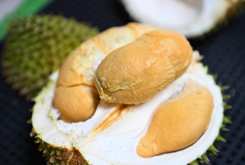 This is a photo taken on October 17th at the operation center of a fruit dealer in Baiyun District, Guangzhou, of the flesh of Malaysian black spined durian. Photo by Deng Hua, Xinhua News Agency reporter