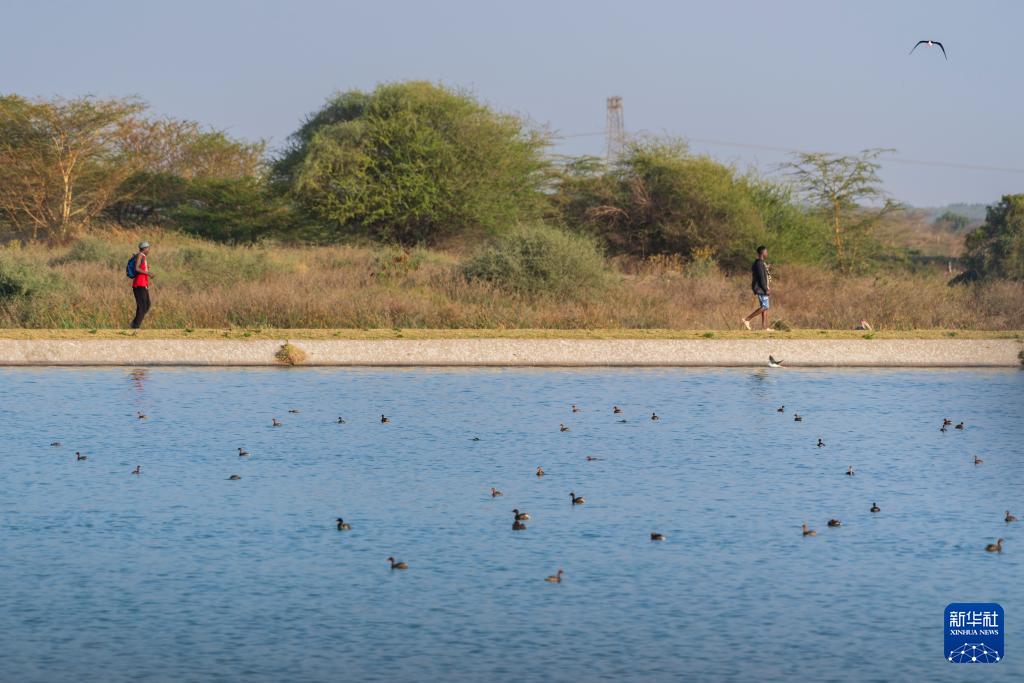 On February 6th, local residents passed through a sewage treatment tank at the Dandora sewage treatment plant in Nairobi, Kenya. Photo by Xinhua News Agency reporter Xie Jianfei